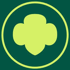 Team Page: Troop 54202